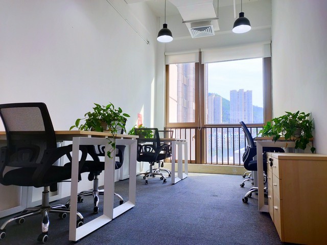 山东管式刮油机生产厂商